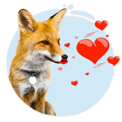 😘 Стикер «Nixie_fox» для Telegram