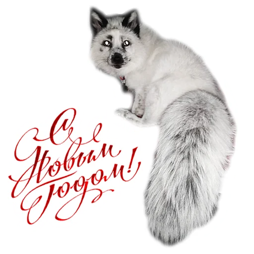 🎉 Стикер «Nixie_fox» для Telegram