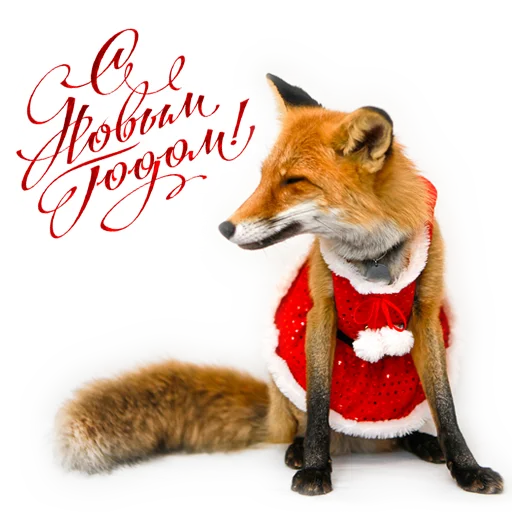 🎄 Стикер «Nixie_fox» для Telegram