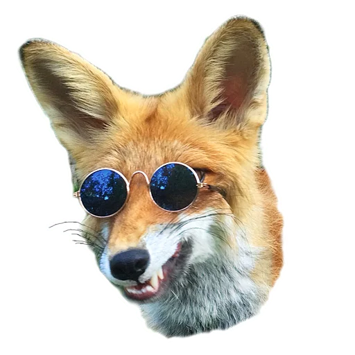 😎 Стикер «Nixie_fox» для Telegram