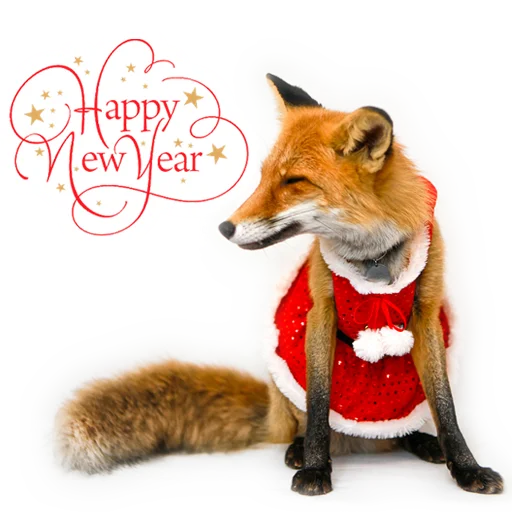 🎄 Стикер «Nixie_fox» для Telegram