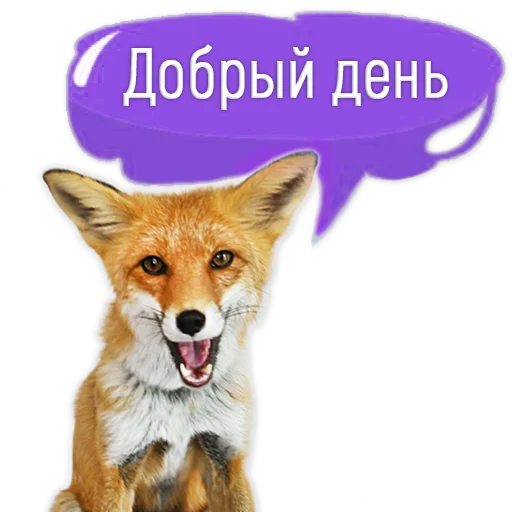 👋 Стикер «Nixie_fox» для Telegram