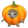 🎃 Эмодзи «꒰ halloween ꒱» для Telegram