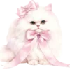 🐱 Эмодзи «новогодний» для Telegram