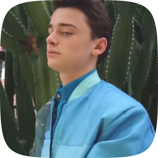 🌟 Стикер «Noah Schnapp» для Telegram