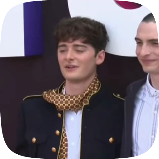 🌟 Стикер «Noah Schnapp» для Telegram