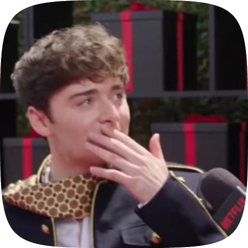🌟 Стикер «Noah Schnapp» для Telegram