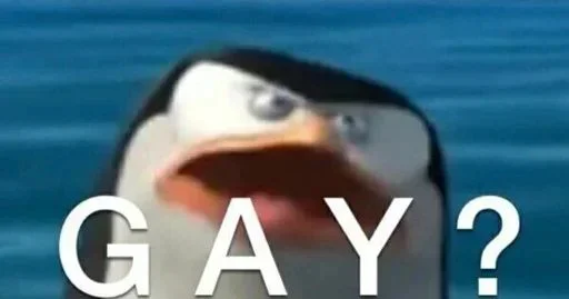 🏳‍🌈 Стикер «No gays!» для Telegram