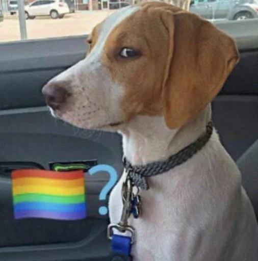 🏳️‍🌈 Стикер «No gays!» для Telegram