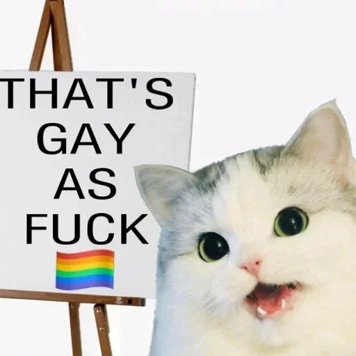 🏳‍🌈 Стикер «No gays!» для Telegram