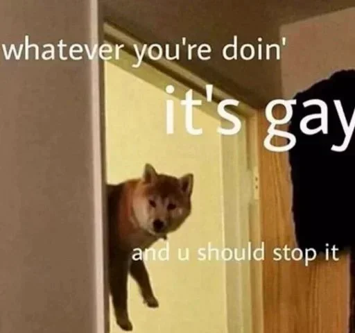 🏳‍🌈 Стикер «No gays!» для Telegram