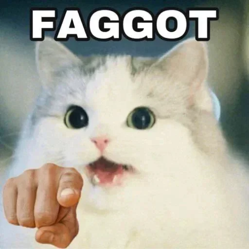 🏳‍🌈 Стикер «No gays!» для Telegram
