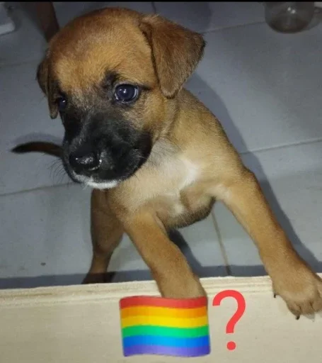 🏳️‍🌈 Стикер «No gays!» для Telegram