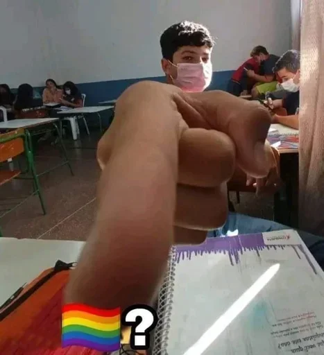 🏳️‍🌈 Стикер «No gays!» для Telegram