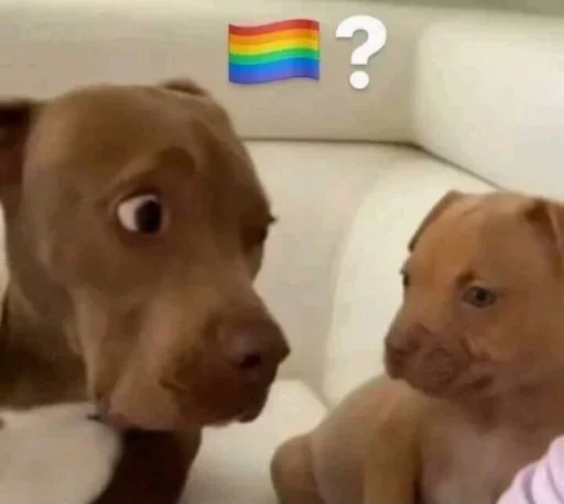 🏳️‍🌈 Стикер «No gays!» для Telegram