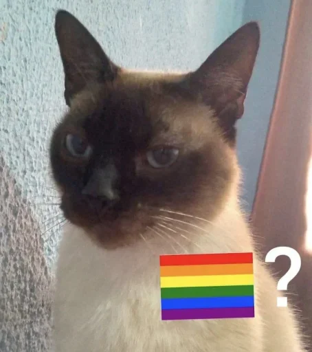 🏳️‍🌈 Стикер «No gays!» для Telegram