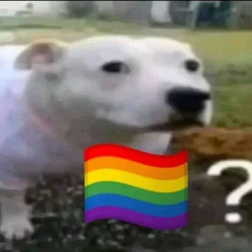 🏳️‍🌈 Стикер «No gays!» для Telegram