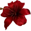 🌺 Эмодзи «noir» для Telegram