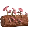 Стикер 43 Кто Глупый Я