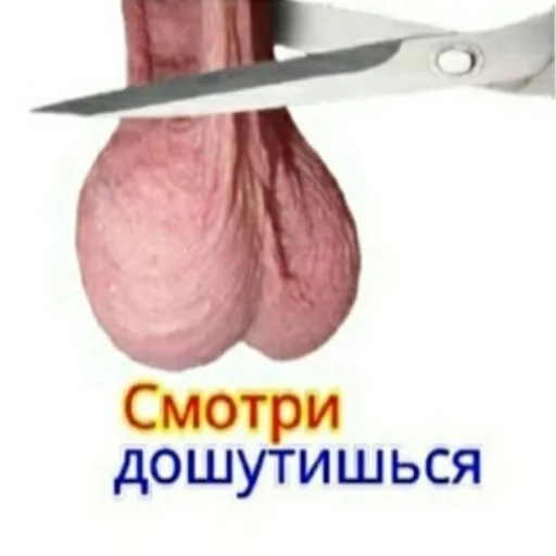 🤫 Стикер «shutka» для Telegram