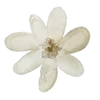 Стикер 2 ΔᥱЖᥱʙыᥱ