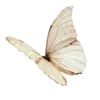 Стикер 9 ΔᥱЖᥱʙыᥱ