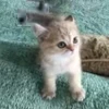 😡 Эмодзи «no name» для Telegram