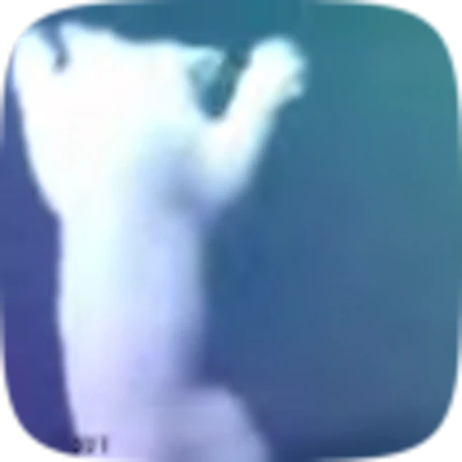 🕺 Эмодзи «no name» для Telegram