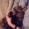 🥰 Эмодзи «no name» для Telegram