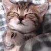 🍀 Эмодзи «no name» для Telegram