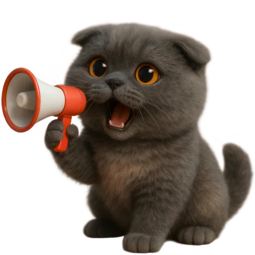 📢 Стикер «Котик Нонг Дум» для Telegram