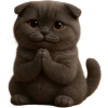 🙏 Эмодзи «Котик Нонг Дум» для Telegram