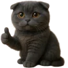 👍 Эмодзи «Котик Нонг Дум» для Telegram