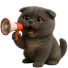 📢 Эмодзи «Котик Нонг Дум» для Telegram