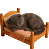 😴 Эмодзи «Котик Нонг Дум» для Telegram