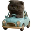🚙 Эмодзи «Котик Нонг Дум» для Telegram