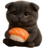 🍣 Эмодзи «Котик Нонг Дум» для Telegram