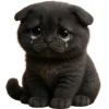 😭 Эмодзи «Котик Нонг Дум» для Telegram