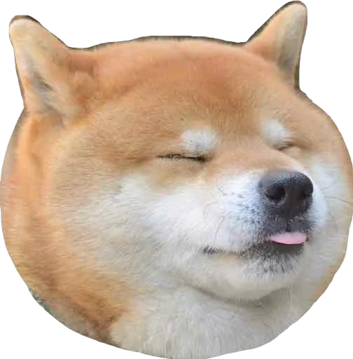 😛 Стикер «Regretti Spaghetti» для Telegram