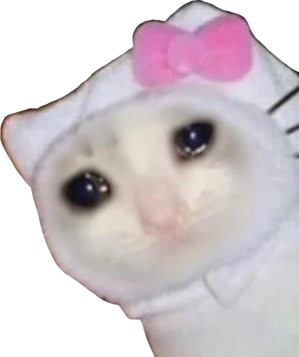 😿 Стикер «Regretti Spaghetti» для Telegram