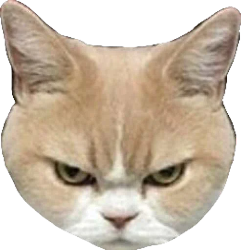 👿 Стикер «Regretti Spaghetti» для Telegram