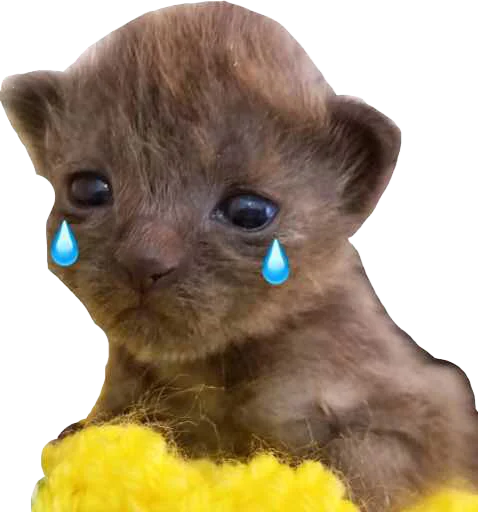 😢 Стикер «Regretti Spaghetti» для Telegram