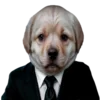 🤓 Эмодзи «doggies» для Telegram