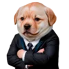 😎 Эмодзи «doggies» для Telegram