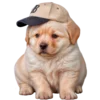 😊 Эмодзи «doggies» для Telegram