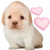 🥰 Эмодзи «doggies» для Telegram
