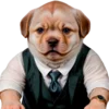 😎 Эмодзи «doggies» для Telegram