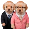 😍 Эмодзи «doggies» для Telegram