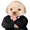 😎 Эмодзи «doggies» для Telegram