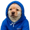 😕 Эмодзи «doggies» для Telegram